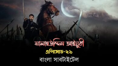 সালাহউদ্দিন আইয়ুবী এপিসোড ২৯ বাংলা সাবটাইটেল